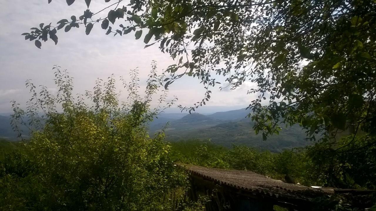 Holiday Home Vižinada Buitenkant foto